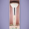 Dusting and Powder Brush