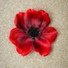 50s Lovely Anemone Hair Clip in Red