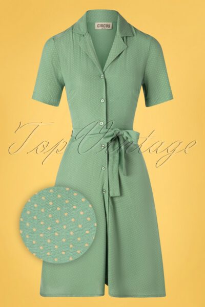 60s Daphne Pin Dot Swing Dress in Duck Egg Green