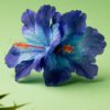50s Double Hibiscus Double Pretty Hair Clip in Blue