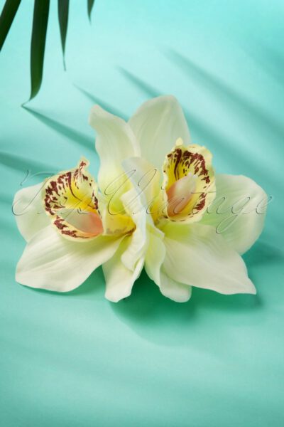 50s Double Orchid Double Pretty Hair Clip in Cream